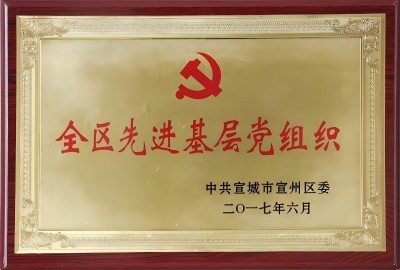 全區(qū)先進基層黨組織